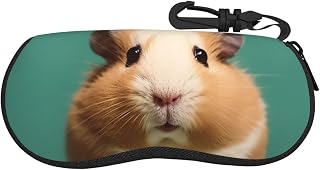 Sunglasses Case Ultra Ligh Travel Eyeglasses Cases Shockproof Glasses Case