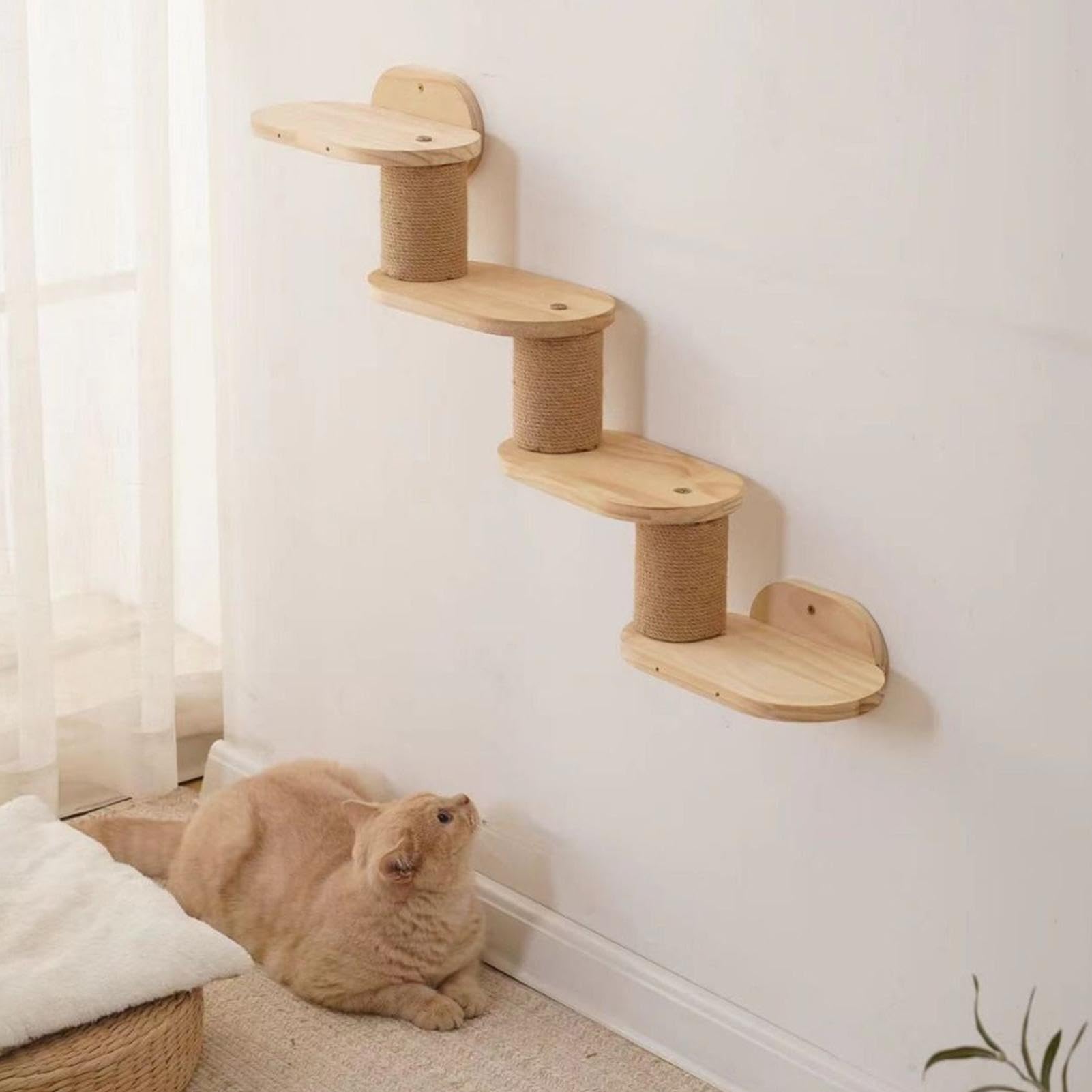 Katzen Wandregale Wandmontierte Katzenregale