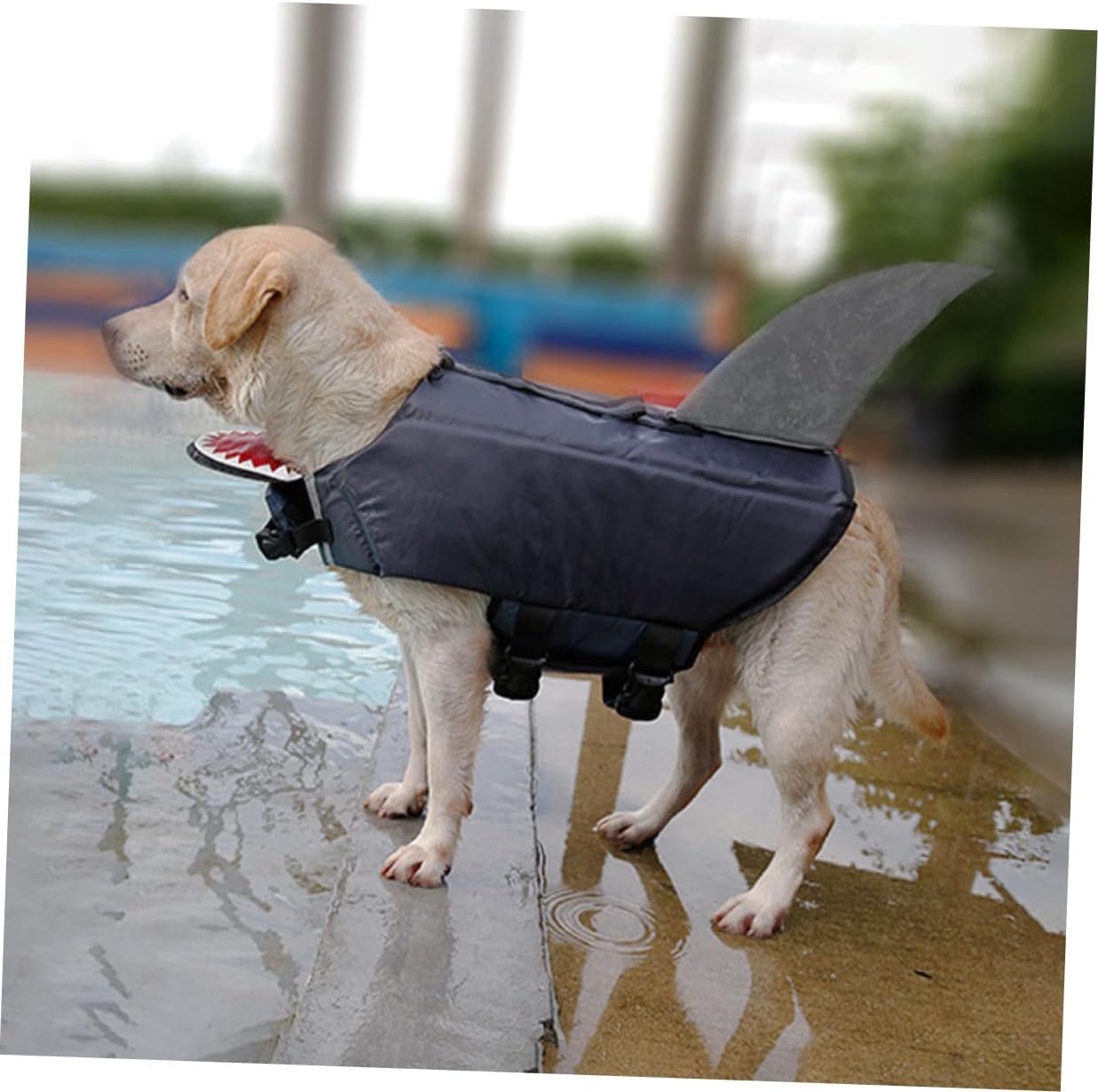 Dog Shark Swimming Vest Pet Life Jacket Reflective Floatation Vest Gray XL for Boating Pool Safety