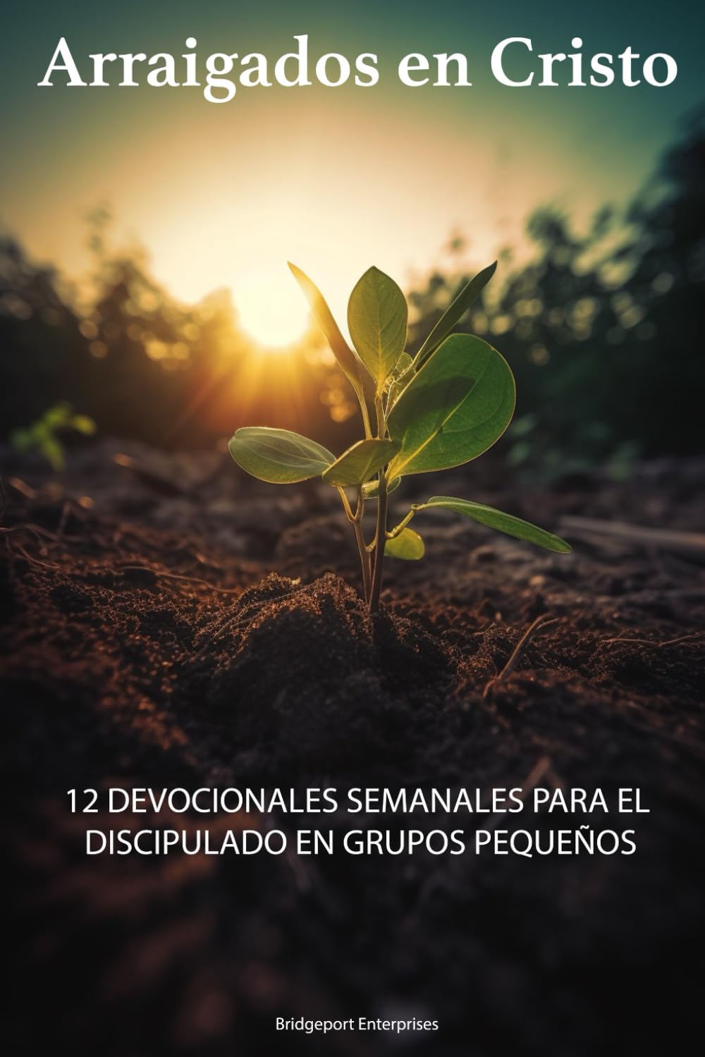 ARRAIGADOS EN CRISTO: 12 DEVOCIONALES SEMANALES PARA EL DISCIPULADO EN GRUPOS PEQUEÑOS (Spanish Edition)