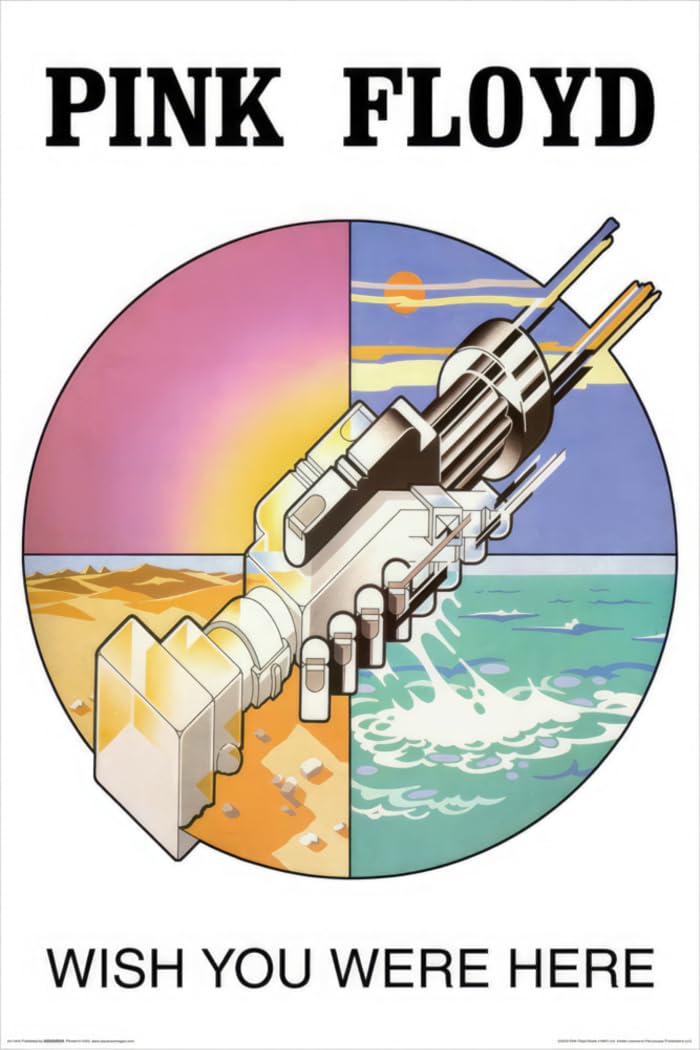 Amazon.com: Pink Floyd - Music Poster (Wish You Were Here