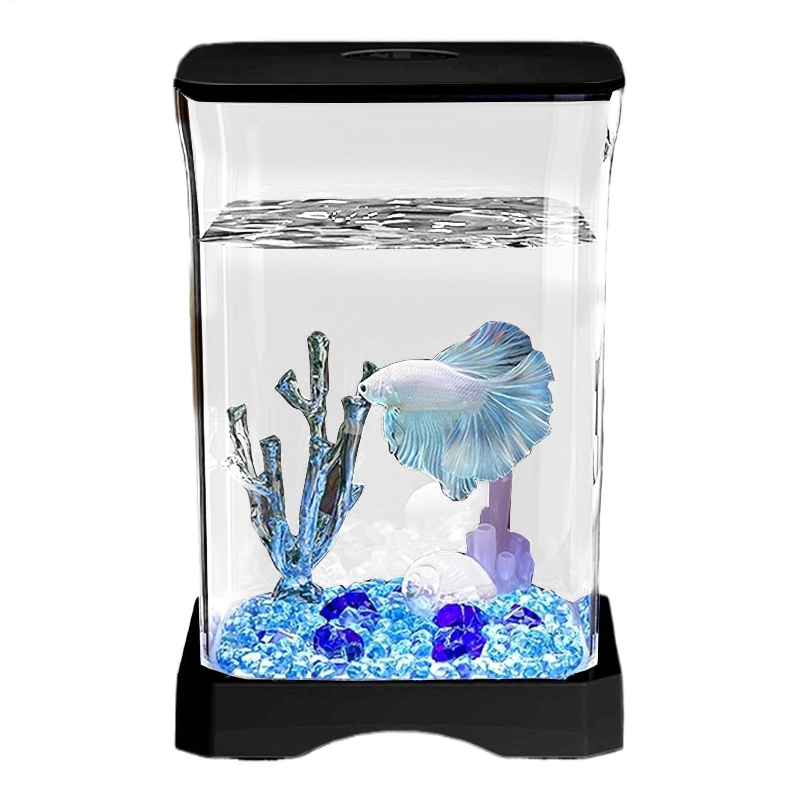Kit de réservoirs de poisson Betta avec éclairage LED pour crevettes et méduses