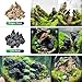 KINGRUI Natural Rocks Dragon Stone 1-2.5 Inches Decorative Stones for Terrariums,Miniature,Fairy Gardens,Bonsai,DIY Crafts, Aquariums,Dioramas & Wargaming-2lb