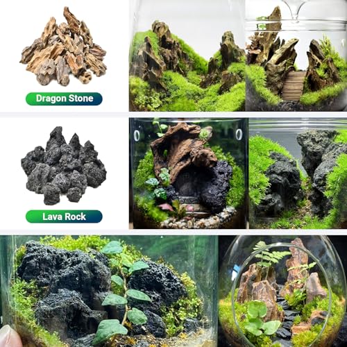 Image of Natural Rocks Dragon Stone 1-2.5 Inches Decorative Rocks for Miniature Terrariums,Fairy Gardens,Bonsai,DIY Crafts, Aquariums Dioramas & Wargaming-1lb