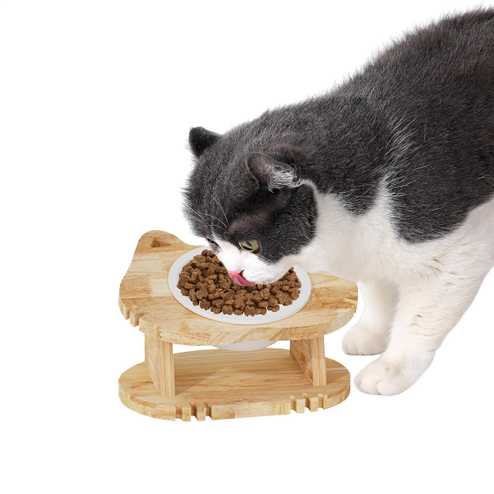 Gekippte Futternäpfe für Katzen Rutschfester Schutz der Halswirbelsäule für | Erhöhter Schräger Futternapf Für Katzenkinder Für Den Einsatz In Innenräumen Wie Haushalt