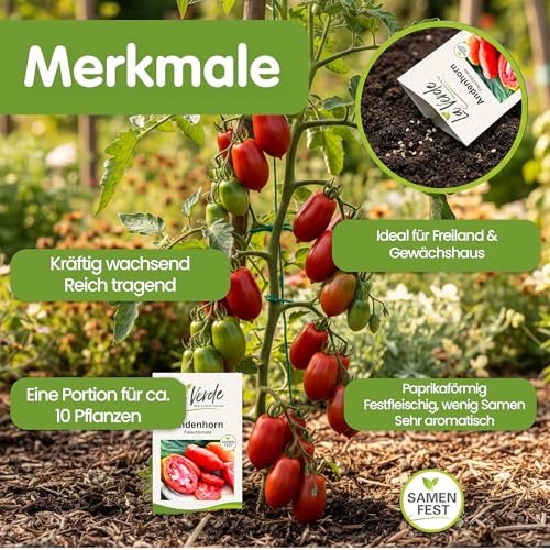 La Verde MEIN GARTEN UND ICH. Andenhorn Tomatensamen für ca. 10 Pflanzen, aromatische Fleischtomate, Saatgut ohne Gentechnik