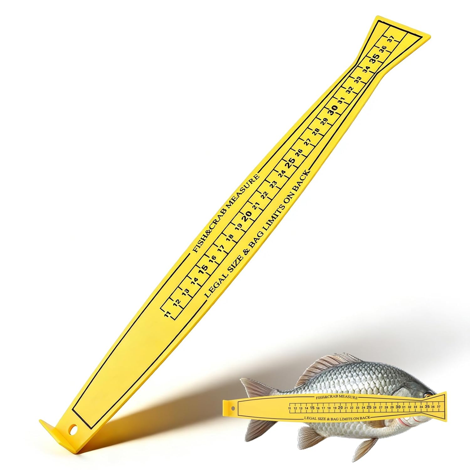Crab Ruler Amazon.com : 15 Inch Fish Measuring Board Lightweight Fish Ruler Bump ...