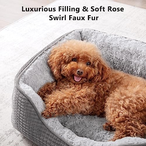 MIXJOY-Dog-Beds-for-Small-Medium-Large-Dogs-SOG-Bed-Calming-Cat-Pet-Bed-Washable-Rectangle-Orthopedic-Dog-Sofa-Bed-Soft-Sleeping-Warming-Puppy-Bed-with-Anti-Slip-Bottom-20x19x6