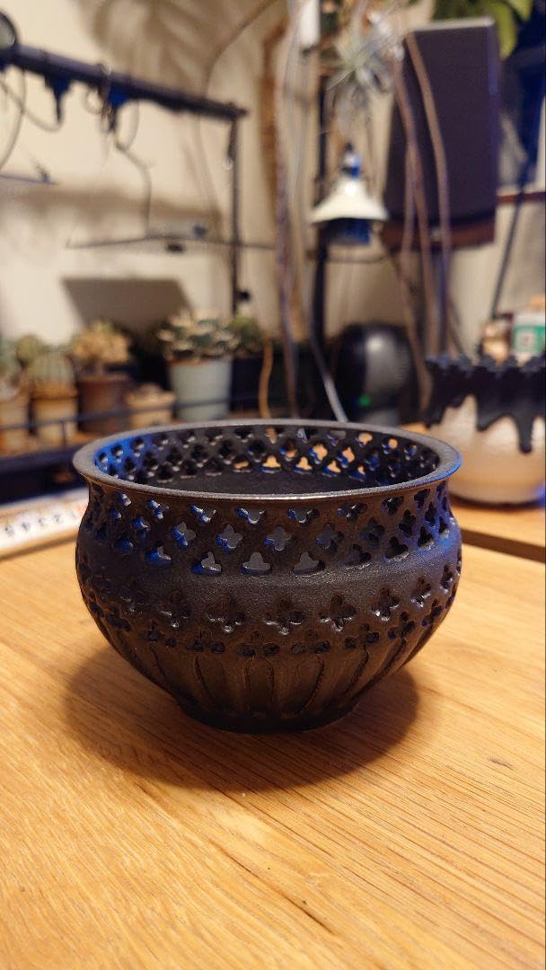 最終値下D.I.P.left botanicalコラボ陶器鉢塊根グラキリスアガベ 最終値下D.I.P.left botanicalコラボ陶器鉢塊根グラキリスアガベ 2025