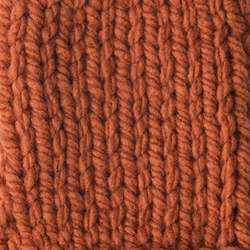 Image of Bernat Softee Chunky Yarn, 3.5 Oz, Gauge 6 Super Bulky, Pumpkin (Pack of 4)