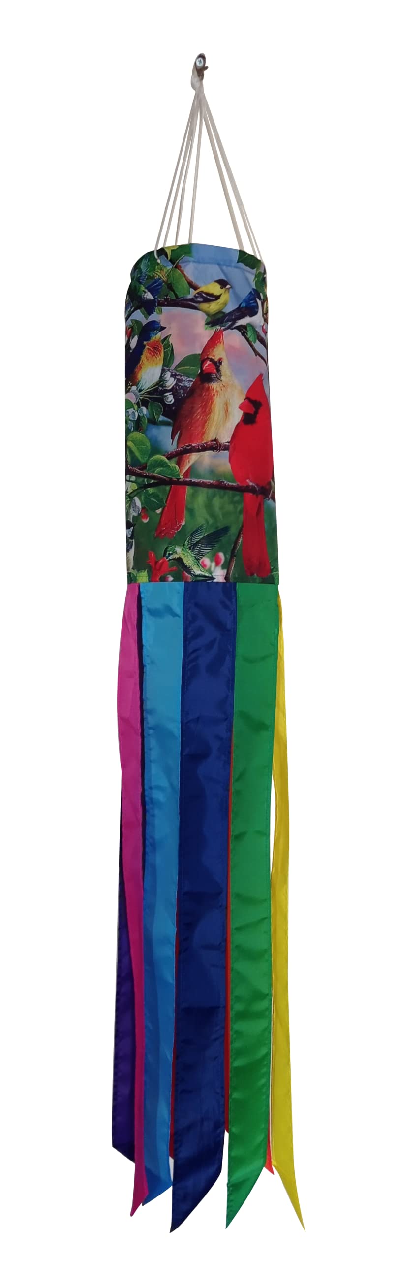 40-Inch Vibrant Spring Red Cardinal Blue Jay Goldfinch Hummingbird Windsock with Rainbow Colors Tails