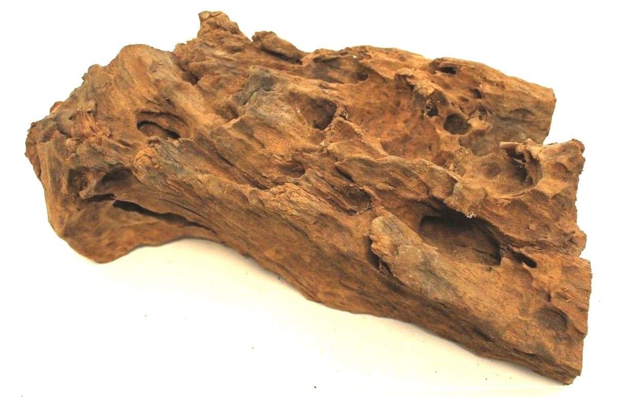 Wohnkult Radice di mangrovia XL 60-45 cm Decorazione per Acquario Radice Legno Mangrovia