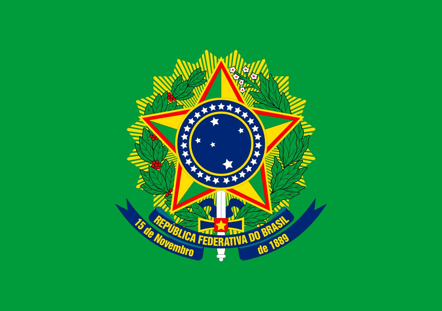 Drapeau XL Président du Brésil pour pavoiser lors des fêtes nationales brésiliennes