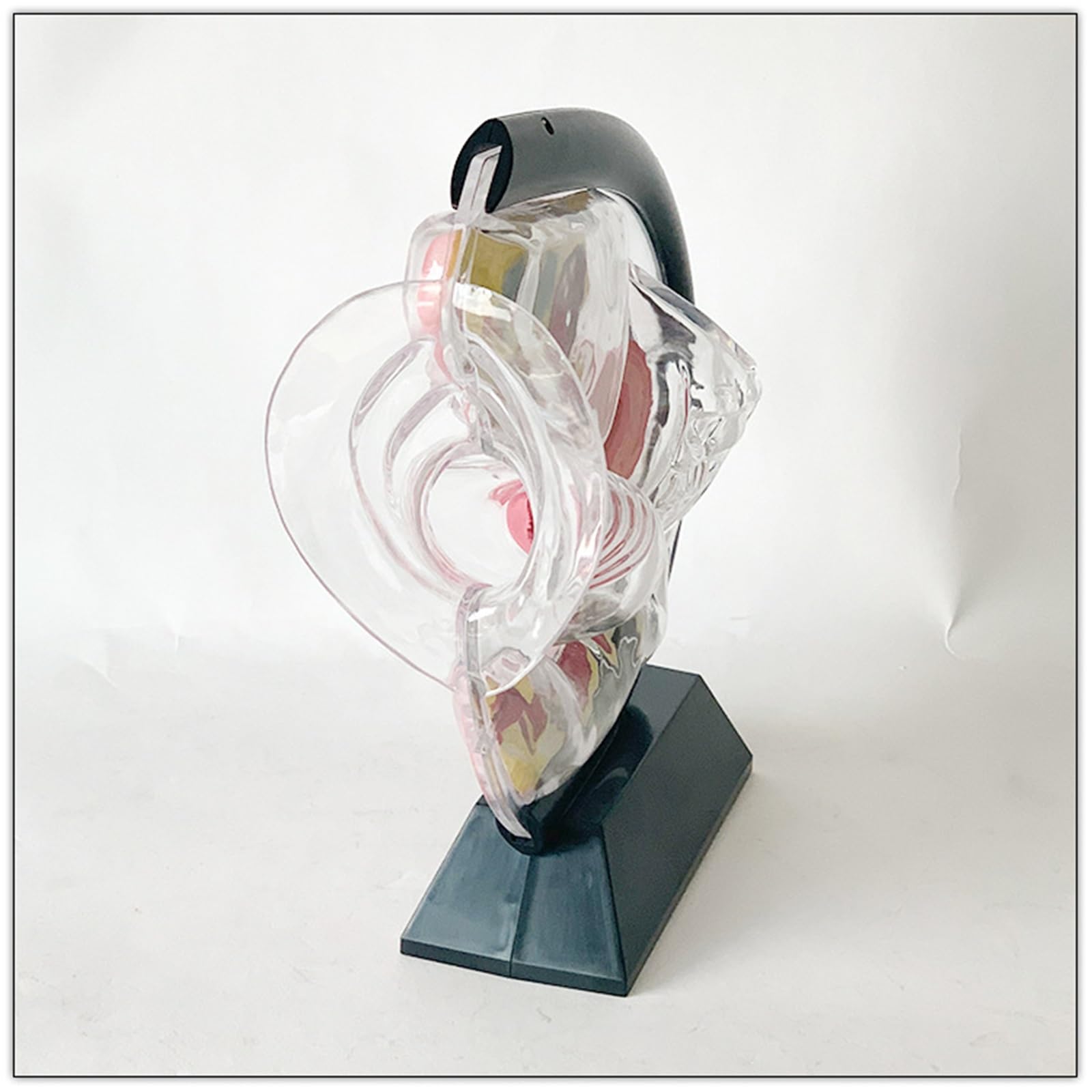 Transparentes Gebärmuttermodell, Modell des weiblichen Fortpflanzungssystems, abnehmbares anatomisches Beckenmodell for den Unterricht in Menstruationstassen(Black)