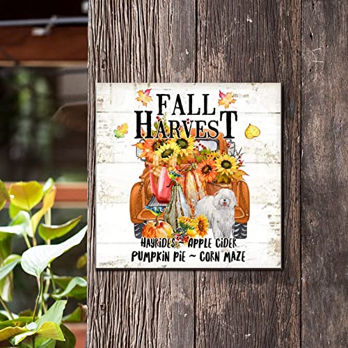 Plaque murale rustique en bois citrouille pour embellir un mur vide - 4