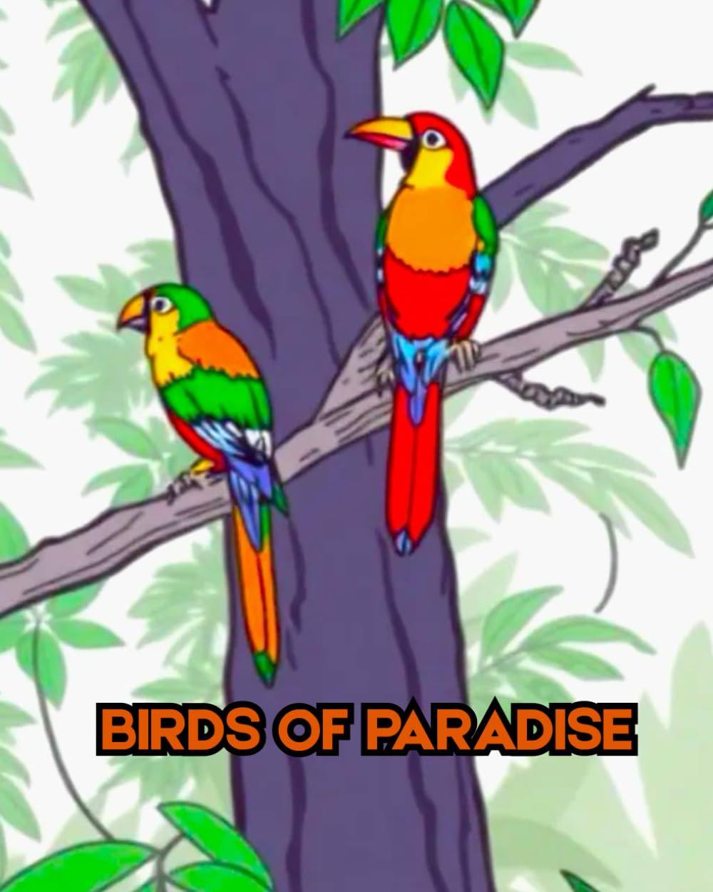 BIRDS OF PARADISE: A colouring book about colourful birds of paradise. (CATS, DOGS AND PLANTS)
