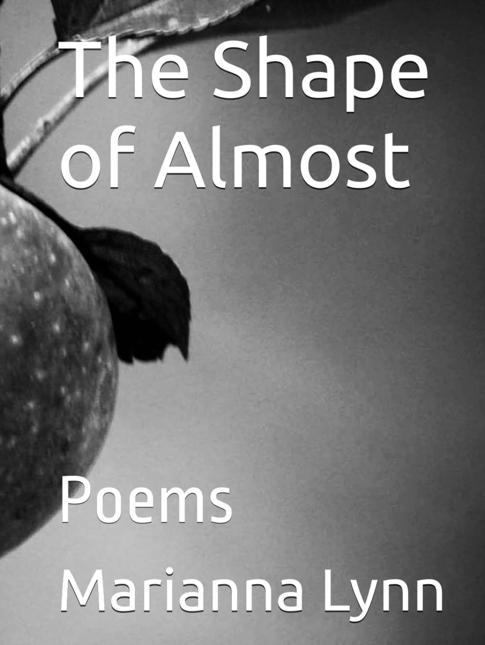 The Shape of Almost: Poems