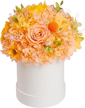 ROSEROSE Preserved Flowers for Delivery Prime,Forever Flowers Bouquet with Gift Box, Eternal Real flowers Gifts for Women,Christmas,Valentines Day,Anniversary,Birthday for Her Champagne