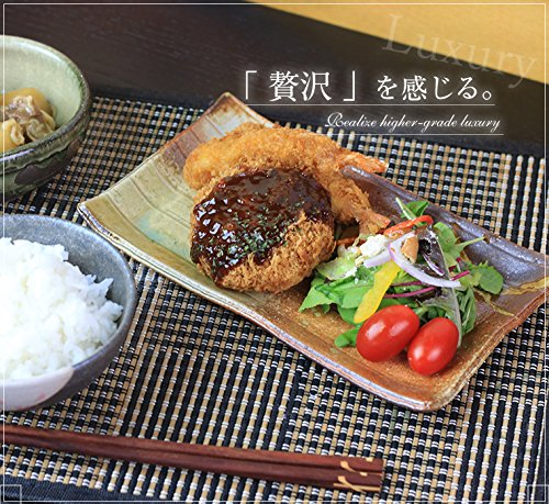 信楽焼 長皿 食器【古信楽長角皿w923-04】長角皿 小皿 中皿 皿 器 和食器 洋食器 おしゃれ オシャレ しがらき焼 陶器 焼き物