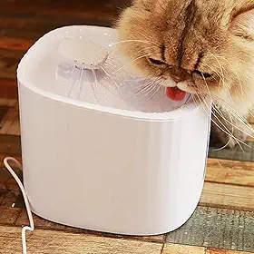 Bebedouro Fonte de Água Pet Inteligente Automático com Filtro Triplo - 3 litros