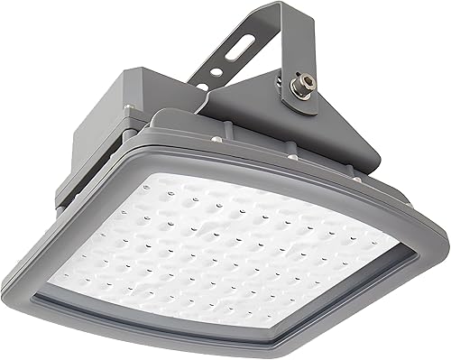 Reflector LED a prueba de explosiones de 100 W, luces de inundación de ubicación peligrosa para gasolina, refinerías de petróleo, hangares de