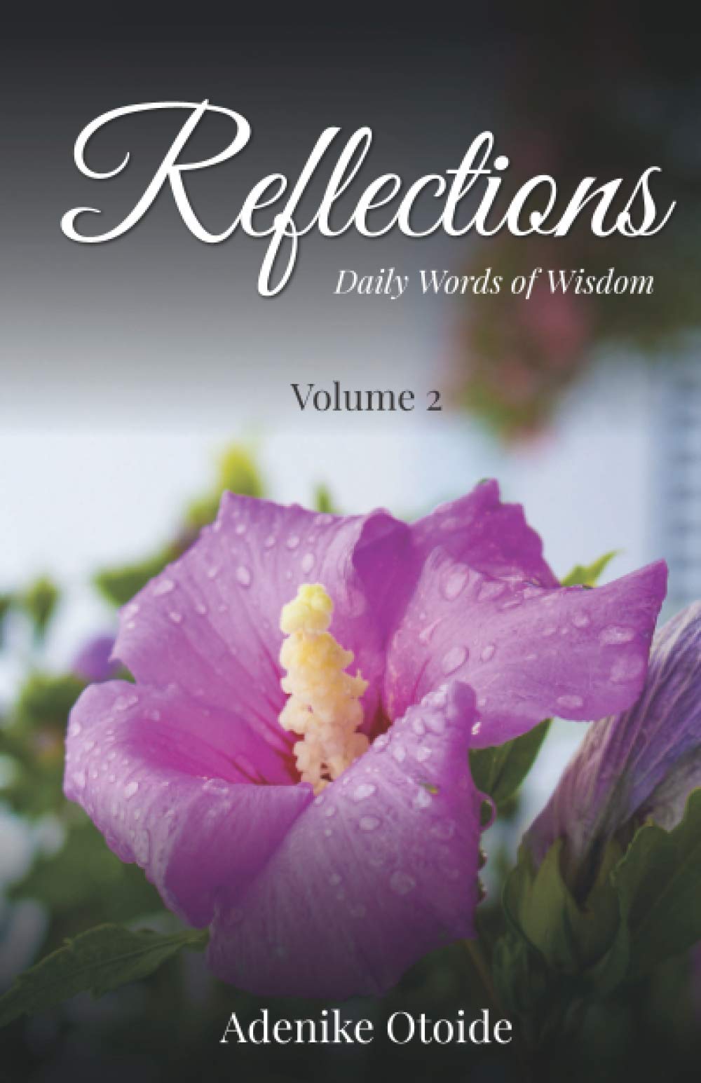 Reflections by Adenike Otoide Volume 2: Daily Words of Wisdom