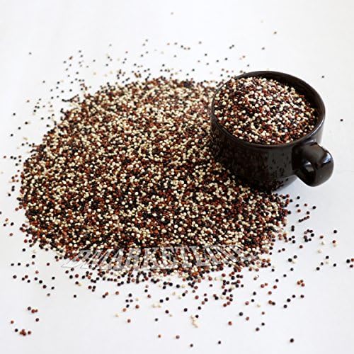 ORGANIC TRI COLOR QUINOA SEED SOUTH AMERICA GRAIN BULK GLUTEN (10 Lb)