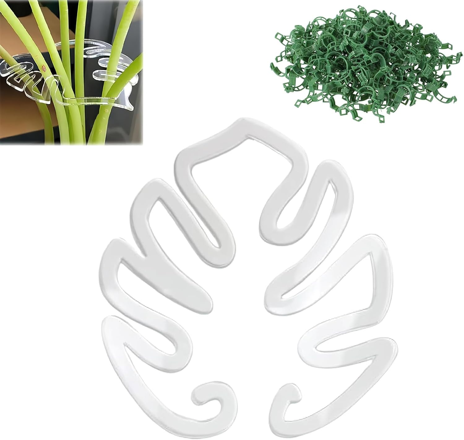 Monstera Grapple, 20 Pcs Plastic Trellis Plant Jamaica | Ubuy