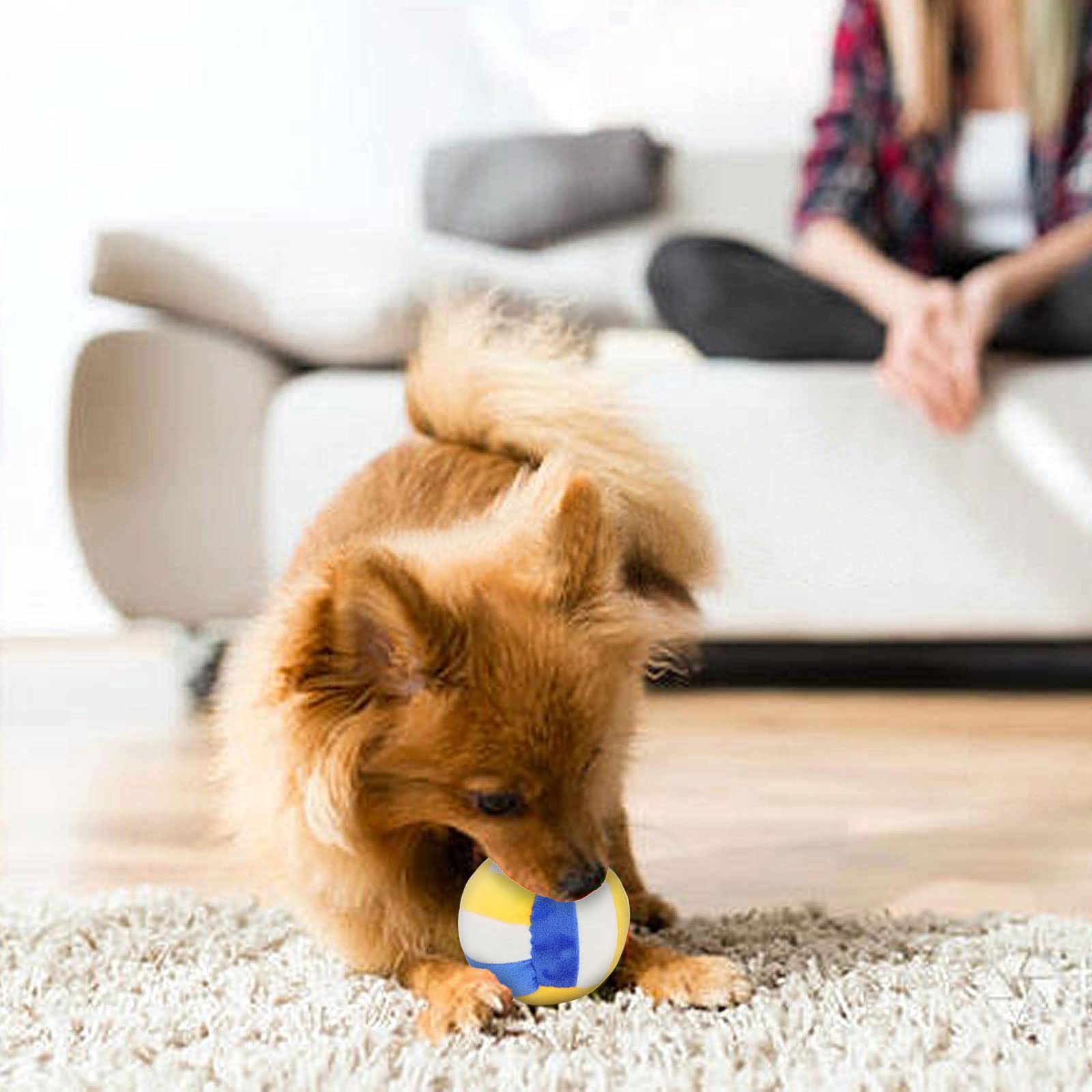 2 Stück Quietschende Plüsch-Hundebälle – Fußball & Volleyball, Für Kleine & Mittelgroße Hunde