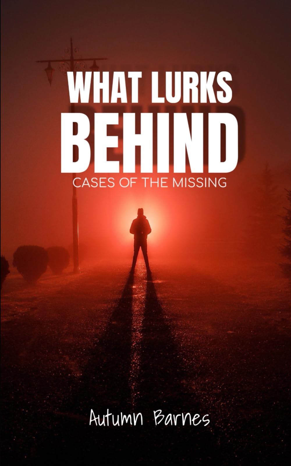 What Lurks Behind: Cases of the Missing