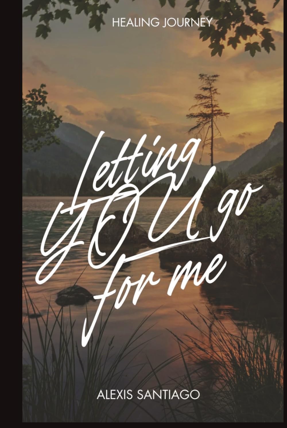 Letting YOU go for me (Healing Journey)