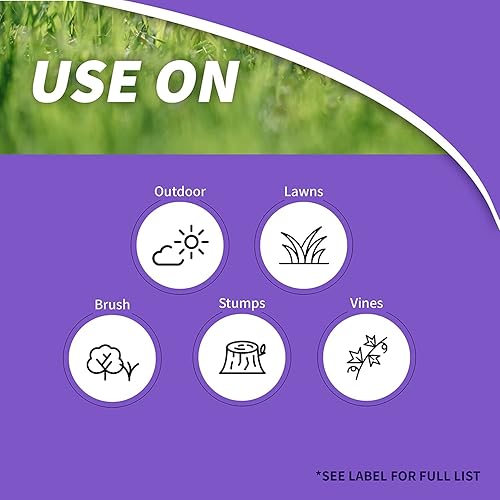 Miniatura 2 de Bonide Poison Ivy Products 331 - Cepillo concentrado para matar malezas, 32 onzas, paquete de 2