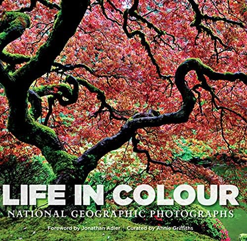 Life in Colour: National Geographic Photographs