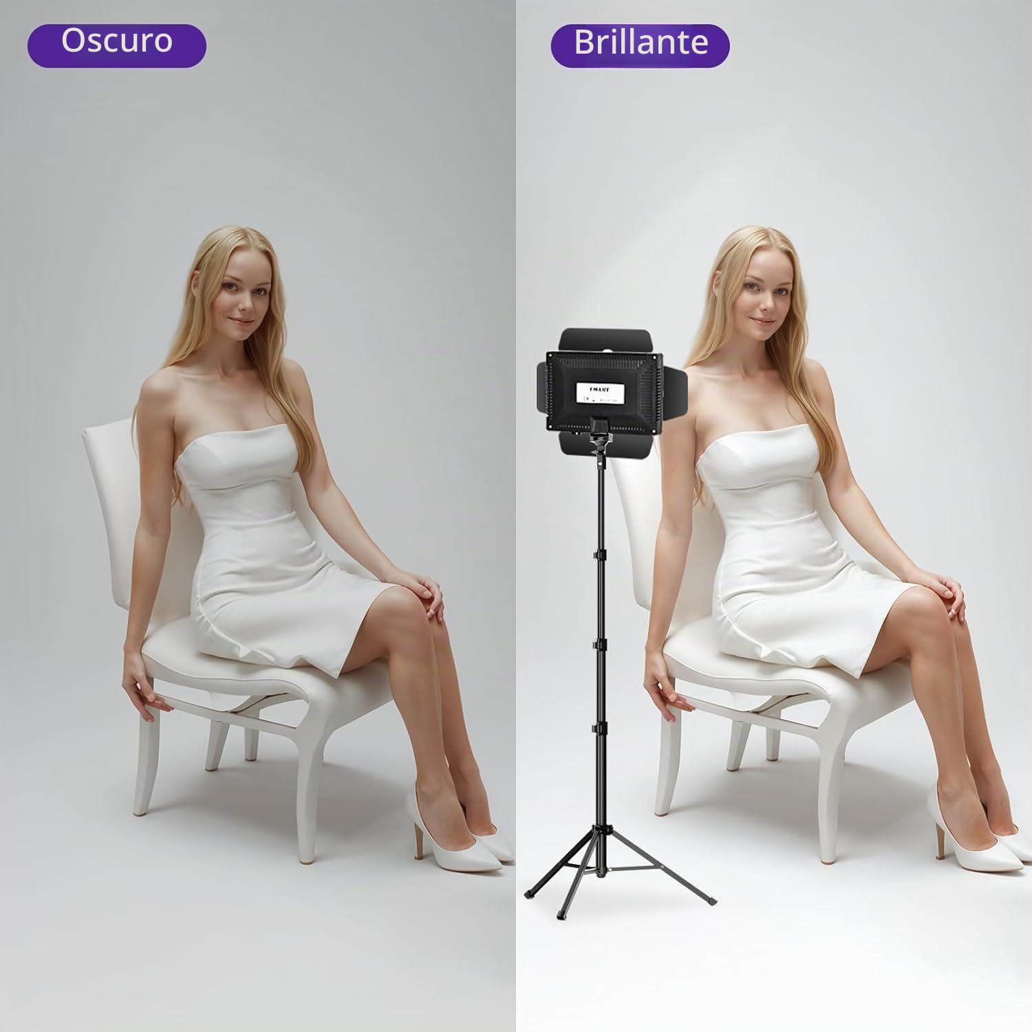 Luz de Vídeo con Barndoor y 9 Filtros, EMART Iluminación de Fotografía | 5500K 66 LED, Regulable, Grabación de Vídeo, Streaming, Youtube, Estudios Fotográficos, Rodajes