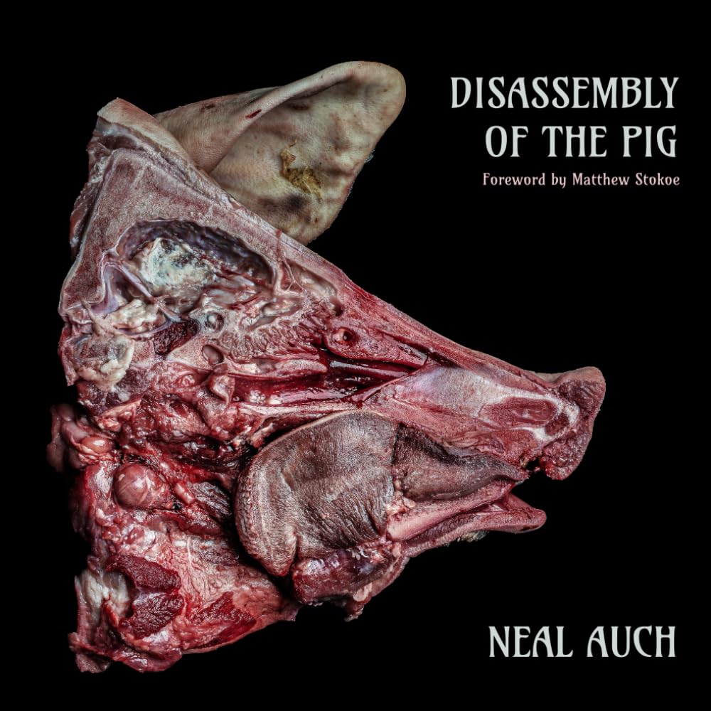 Démontage du porc puzzle anatomique et guide de découpe bouchère