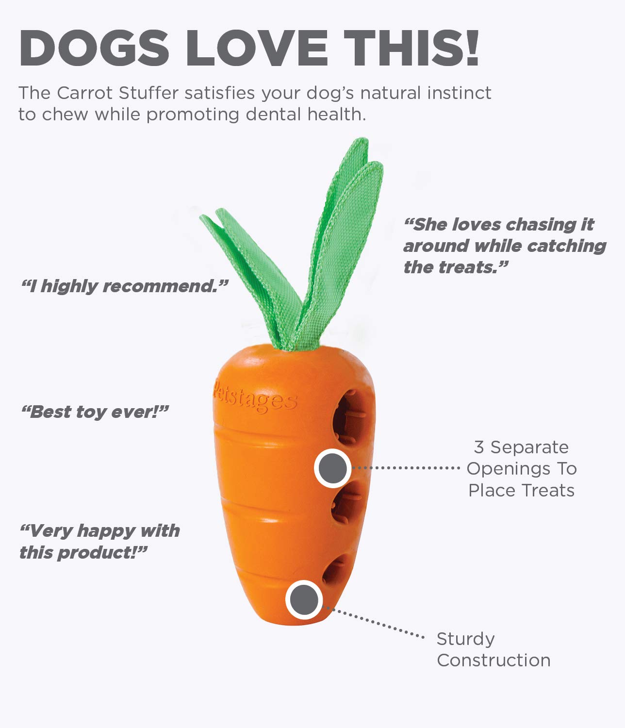 Are Carrots A Good Treat For Dogs