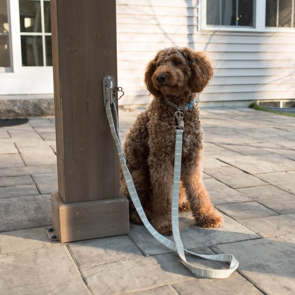 Edelstahl Hundeleinen Haken - Wandhaken Für Leine & Spieltraining