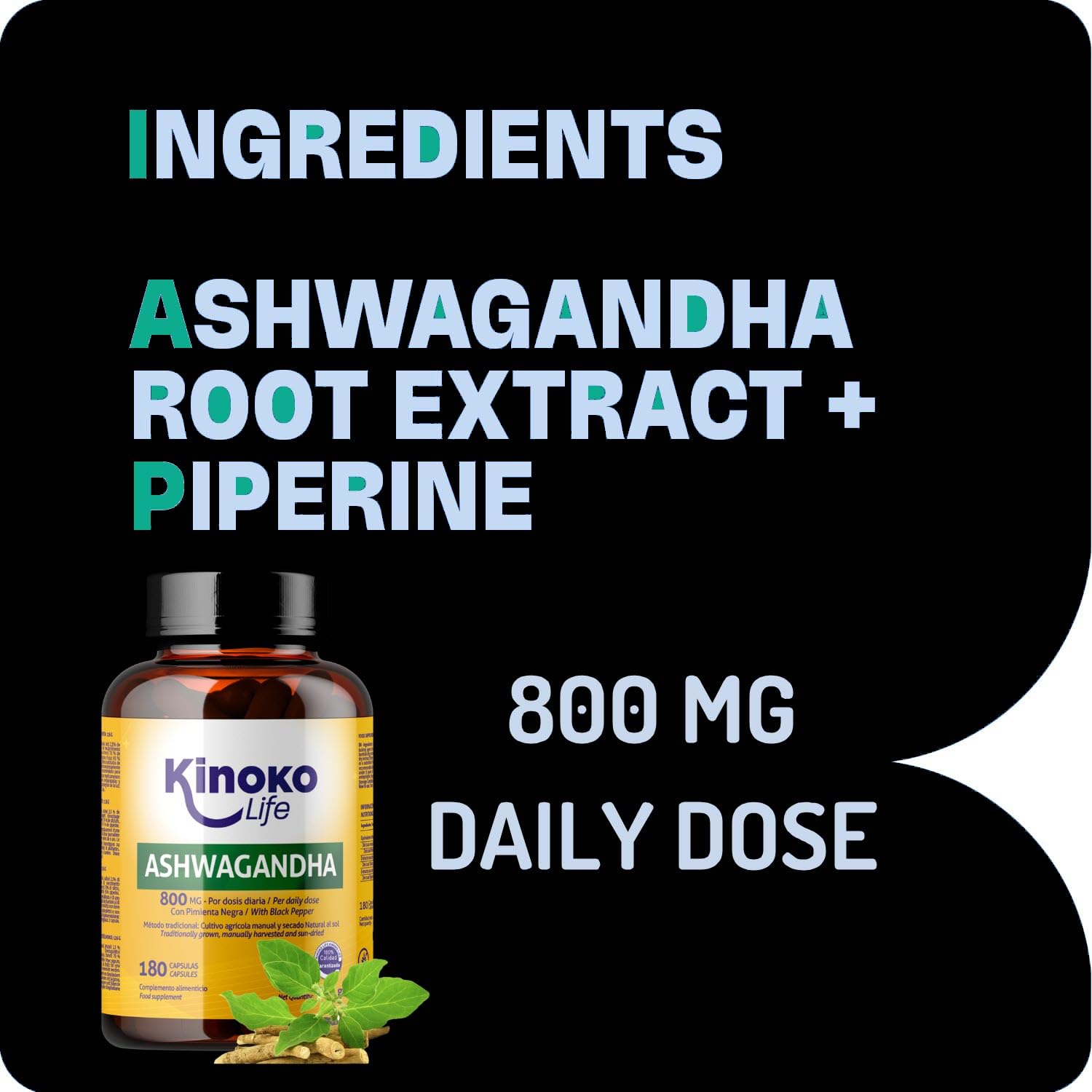 ASHWAGANDHA 800 mg – 180 Cápsulas | Extracto 10:1 con Pimienta Negra (Piperina) | Adaptógeno y Nootrópico Natural para el Estrés, Cortisol y Energía Mental – Kinoko Life