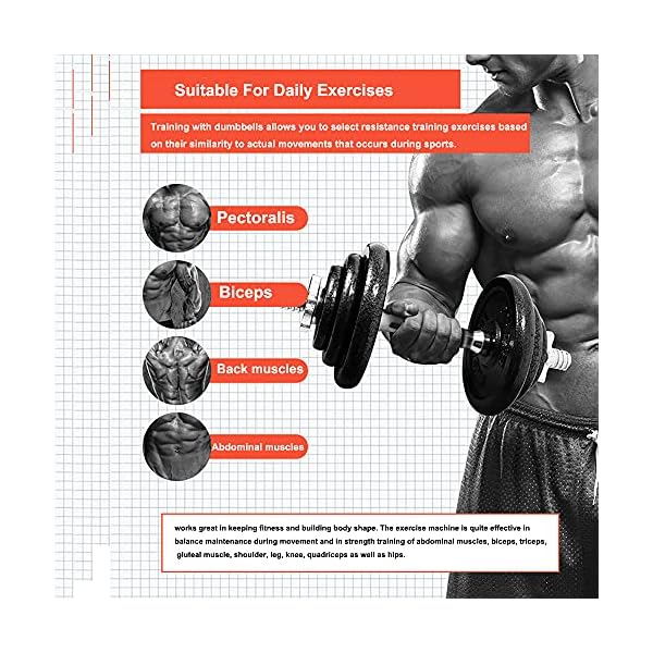 Adjustable Dumbbells 44 lbs Home Weight Lifting Professional Dumbbells for Body Workout Home Gym Fitness with Carry Case (Grey, 44LB/20KG)