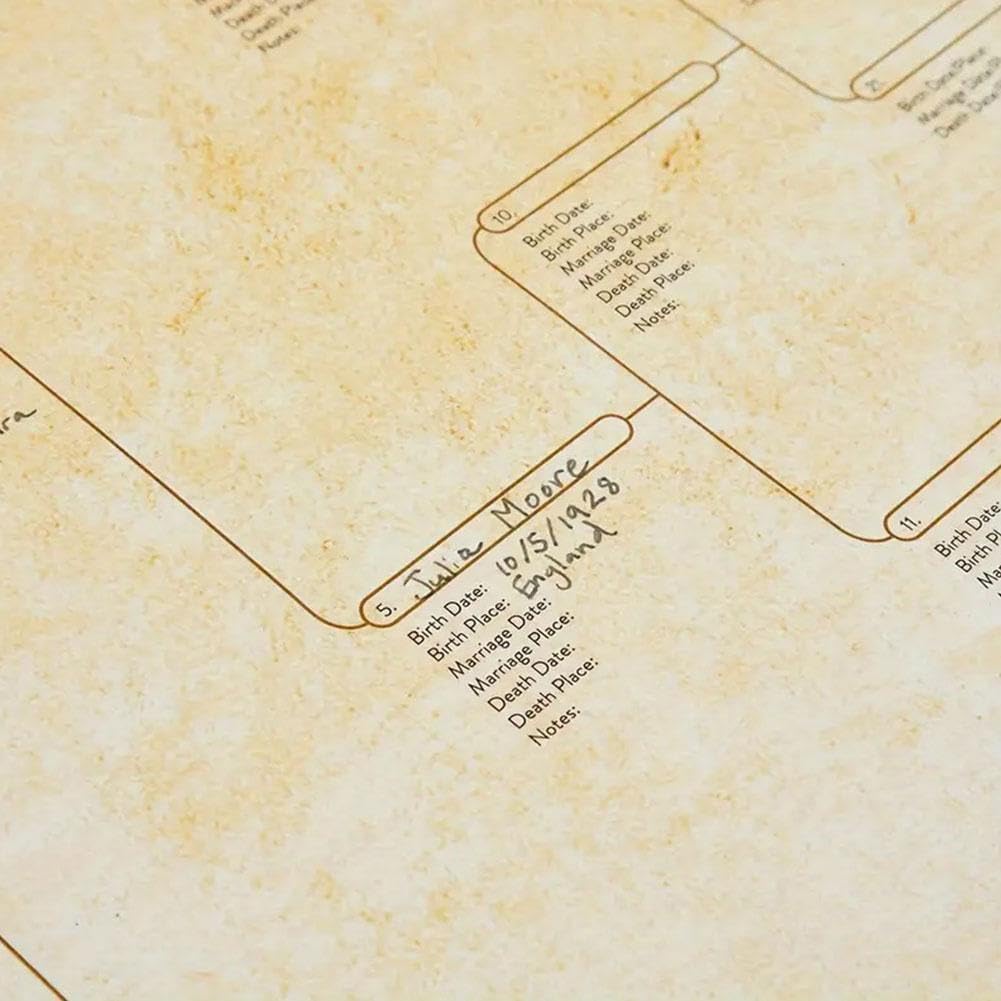 Wykres drzewa genealogicznego do wypełnienia, kompaktowy wykres rodowodowy 8 generacji, pusty wykres przodków do wypełnienia wykres genealogiczny, aby zbudować historię rodziny z dziećmi