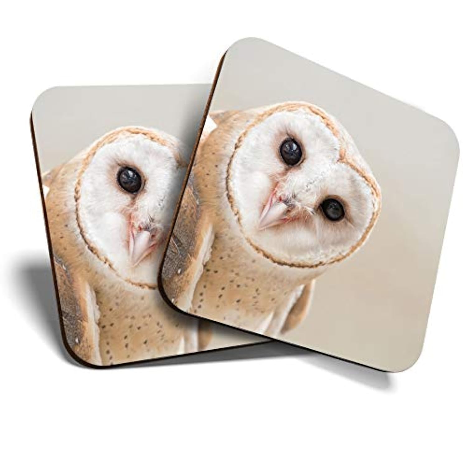 Great Coasters (Set of 2) Square/Glossy Quality Coasters/Tabletop Protection for Any Table Type - Wise Barn Owl Tyto Albahead #15817