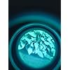 Product Photo 2