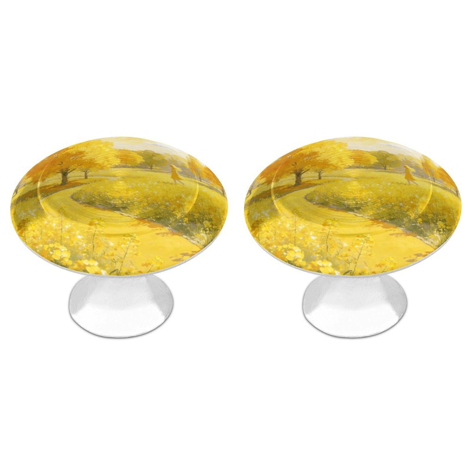 Vstadank Style Yellow Drawer Knob Round Dresser Sturdy Drawer Pulls With Mounting Screws Kitchen Stainless Steel Modern Decorative Handles For Cupboard Closet Bathroom