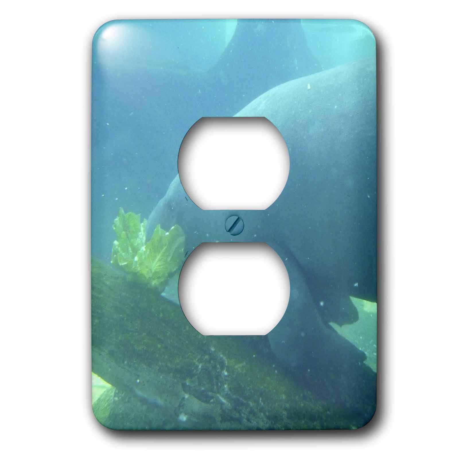 Couvercle de prise Manatee Munch 3dRose LSP_7864 15,2 cm multicolore décoratif