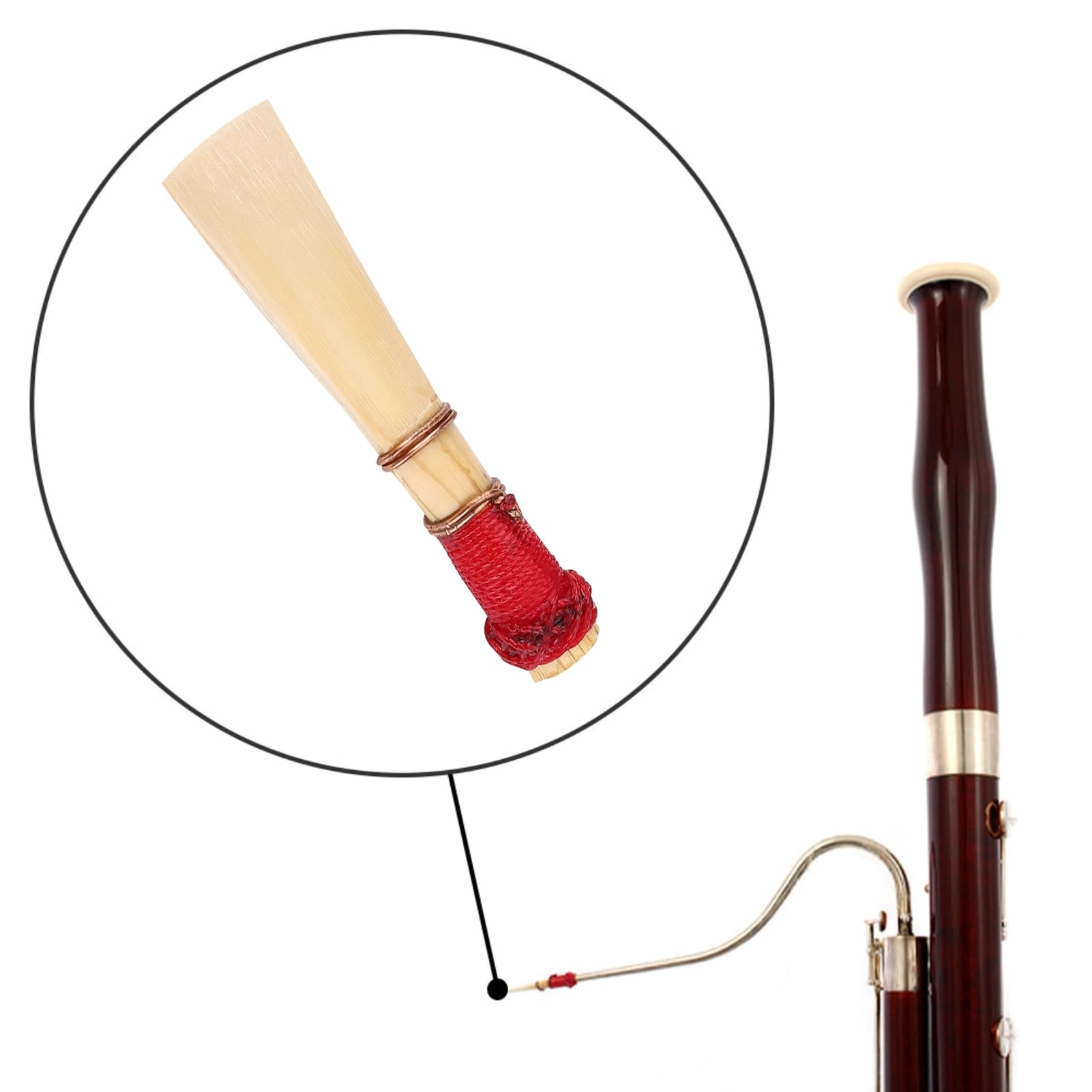 5 Stück Fagottrohr Fagottrohre Bassoon Reed mit Fagottrohr SchutzhüLlen für Studenten mittlere Härte