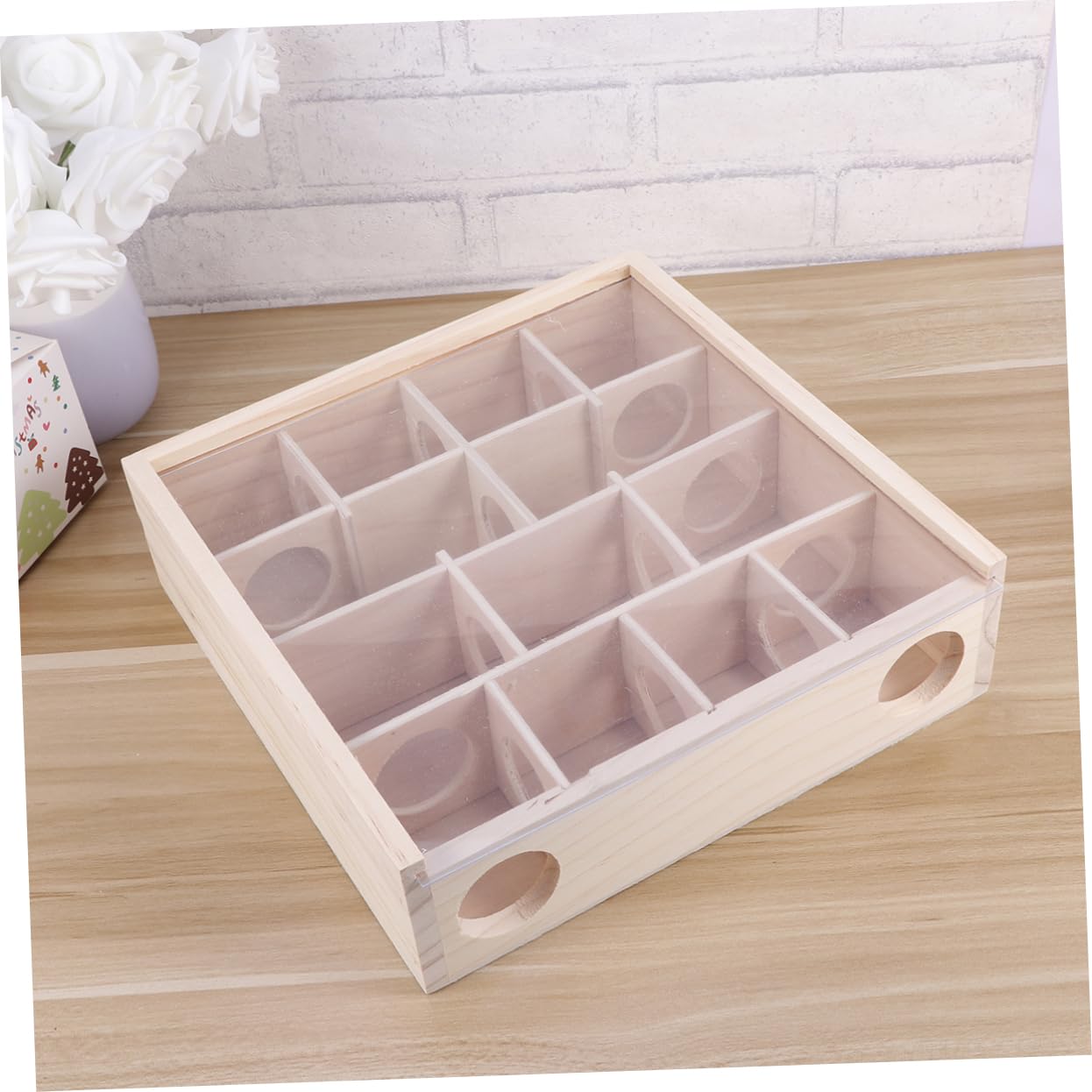 INOOMP Holzlabyrinth für Hamster, Mäuse und Ratten mit Glasabdeckung