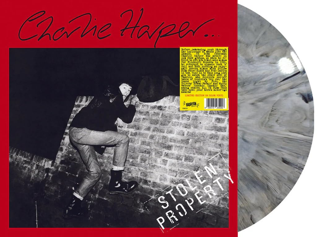 Stolen Property [VINYL]