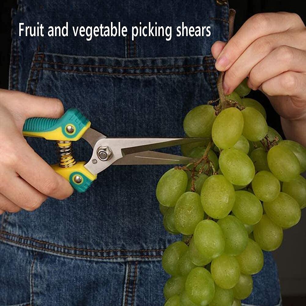 TEmkin Cesoie da potatura per Giardinaggio Cesoie manuali per Frutta e Verdura Utensile per Tagliare Rami Sottili con Lama Dritta in Acciaio Inossidabile Impugnatura Antiscivolo in Gomma