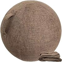 Cover Ballon Gym Antidérapant Housse Pour Ballon D'exercice 55-65cm WTZHHK - Couverture Antidérapante Avec Poignées Ballon Bureau
