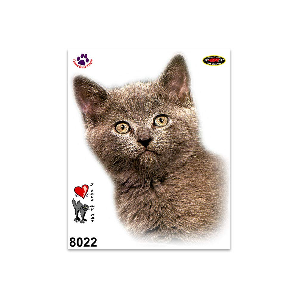 Quattroerre Grey Cat Sticker 14 x 16 cm